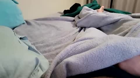 niyo1996 online show from 02-16-26, 01:24