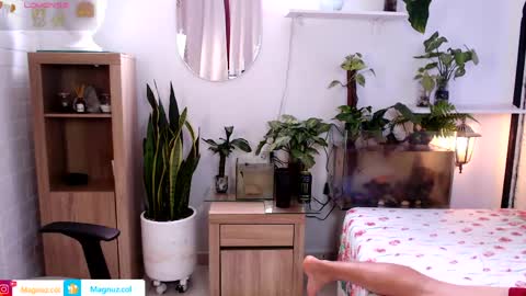 Snapshot of no_face_69 chatting on 05-30-26, 05:32 x online show from 05-30-26, 05:32