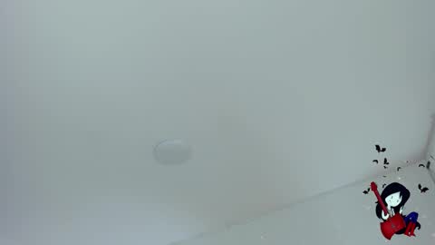 Snapshot of noahcryptic chatting on 10-29-25, 06:48 Noah  online show from 10-29-25, 06:48