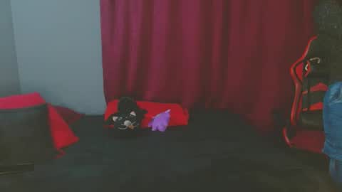 Snapshot of noamartin_ chatting on 02-27-25, 01:59 Noamartin online show from 02-27-25, 01:59