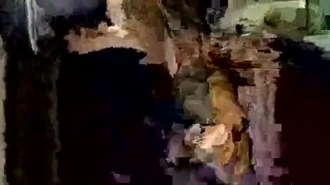 Snapshot of nocturnus1980 chatting on 12-01-25, 04:06 nocturnus1980 online show from 12-01-25, 04:06