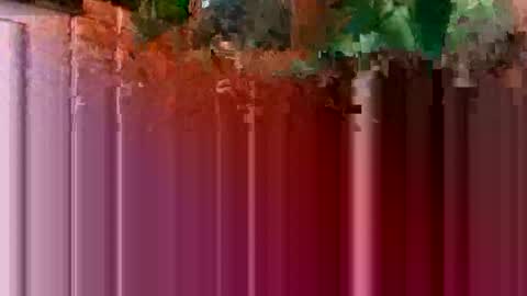 Snapshot of nocturnus1980 chatting on 01-16-26, 05:44 nocturnus1980 online show from 01-16-26, 05:44