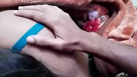 sim  nib online show from 12-26-24, 06:52