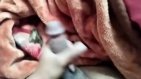 sim  nib online show from 12-28-24, 05:44