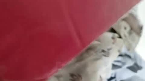 sim  nib online show from 01-04-25, 05:16