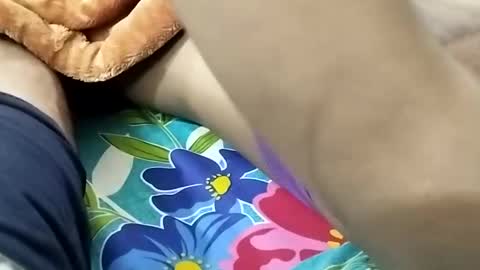 sim  nib online show from 01-09-25, 08:44