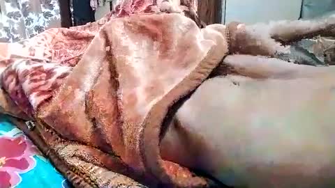 sim  nib online show from 03-01-25, 05:31