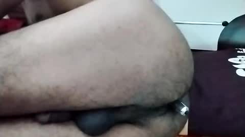 sim  nib online show from 11-13-25, 11:42