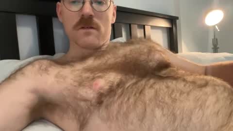 No Plan online show from 12-01-24, 06:08