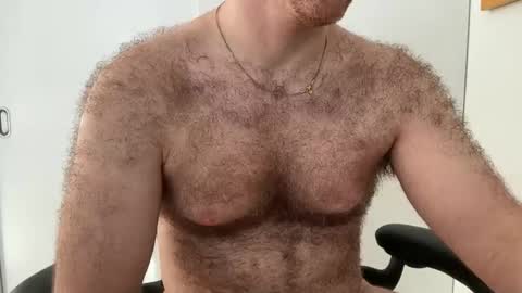 No Plan online show from 02-01-26, 01:53