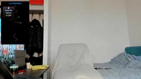 North stallions online show from 02-19-26, 07:04