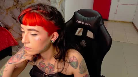 Nova kitty tx online show from 02-20-26, 09:48