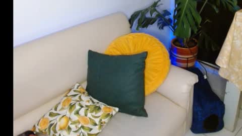 novaperotti online show from 10-08-25, 11:35