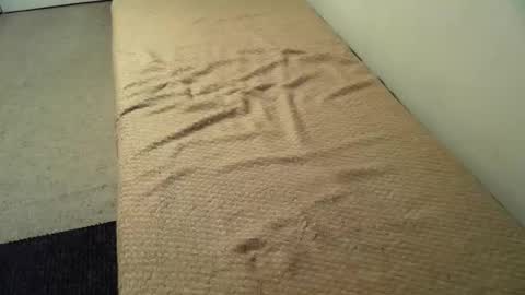 Nuisette007 online show from 12-21-25, 10:44