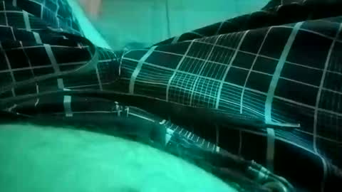 Snapshot of nuttyprofesir chatting on 04-04-26, 01:19 NuttyProfesir online show from 04-04-26, 01:19