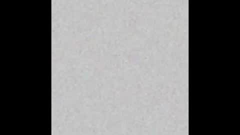 NYC Twunk Couple online show from 12-14-25, 11:09