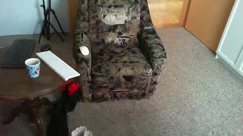 Snapshot of nyloniasau chatting on 11-29-25, 09:01 Strumpfhose online show from 11-29-25, 09:01