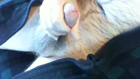 Snapshot of o269x2 chatting on 02-13-25, 06:38 o269x2 online show from 02-13-25, 06:38