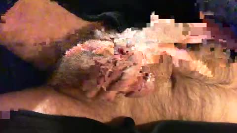 Snapshot of o269x2 chatting on 11-09-25, 10:46 o269x2 online show from 11-09-25, 10:46