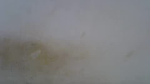 Paloma online show from 05-01-26, 06:23