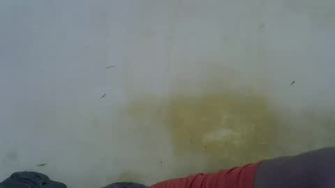 Paloma online show from 05-16-26, 11:46