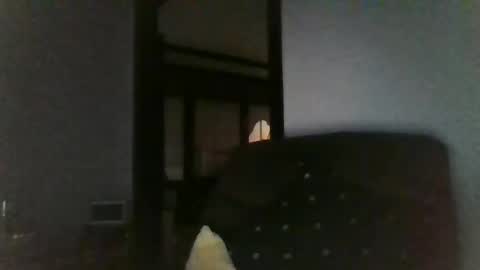 Snapshot of office_slr chatting on 12-26-24, 07:45 Officer online show from 12-26-24, 07:45