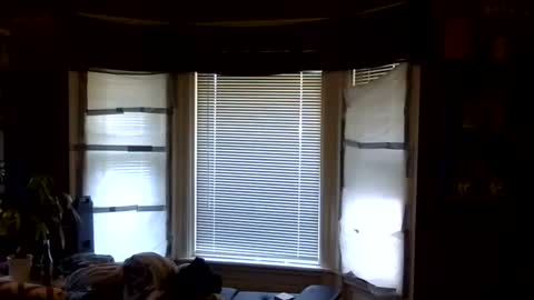 oscar flores online show from 04-06-26, 01:12