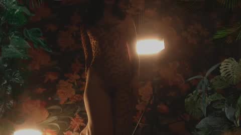 your dear Lilith Chapman online show from 02-17-25, 11:09