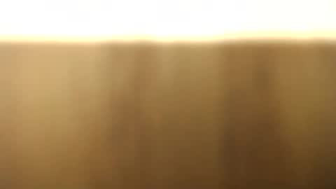 Snapshot of okoro1212 chatting on 11-28-25, 01:08 okoro1212 online show from 11-28-25, 01:08