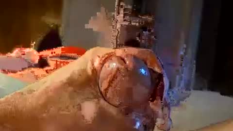 oldermtl online show from 07-11-26, 12:13
