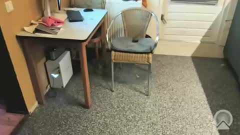 Snapshot of oldersagger chatting on 12-04-25, 05:43 oldersagger online show from 12-04-25, 05:43