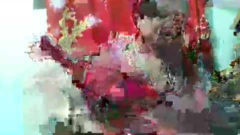 Snapshot of olgaaldy chatting on 11-20-25, 08:03 olgaaldy online show from 11-20-25, 08:03