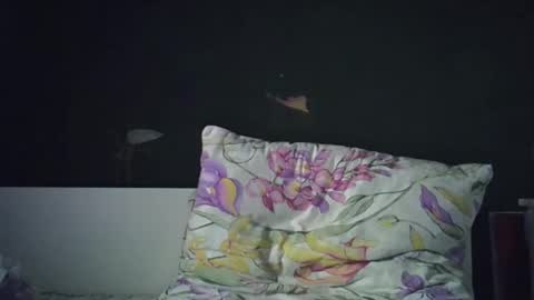 Snapshot of olivepeach chatting on 04-23-26, 02:19 Oil online show from 04-23-26, 02:19