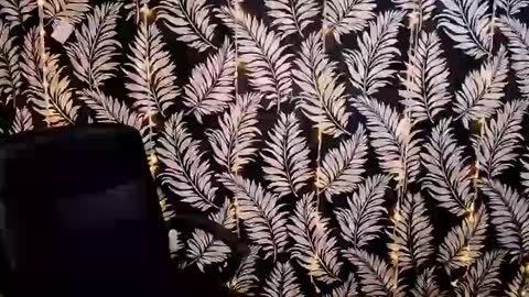 Kelly online show from 01-11-25, 12:18