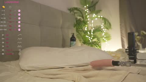 Lily dont forget to follow me  good to see you all online show from 02-04-25, 07:00