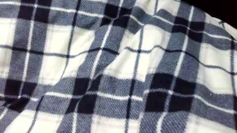 Snapshot of onanii21 chatting on 01-14-25, 01:58 onanii21 online show from 01-14-25, 01:58