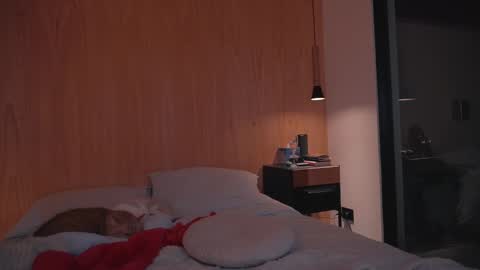 Ariel online show from 12-27-24, 06:53