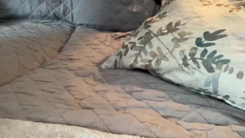 onthedlhere online show from 01-09-25, 07:18