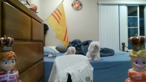 oorah1775 online show from 03-02-25, 02:10