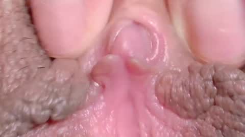 orchidekitty online show from 04-10-26, 11:20