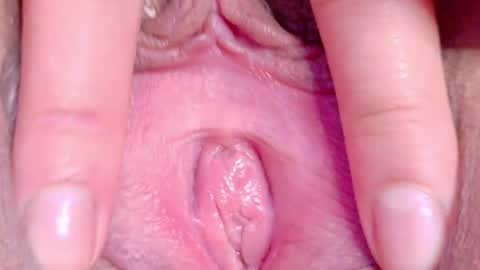 Snapshot of orchidekitty chatting on 05-16-26, 11:14 orchidekitty online show from 05-16-26, 11:14
