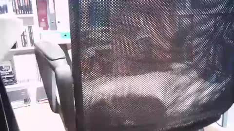 Snapshot of oren57 chatting on 03-01-25, 02:44 oren online show from 03-01-25, 02:44