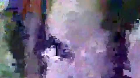 oretrail online show from 02-11-25, 05:37