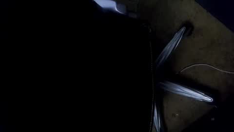 Snapshot of orgasmgiver9090 chatting on 11-07-25, 07:36 orgasmgiver9090 online show from 11-07-25, 07:36