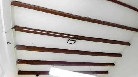 Miss Guzman  online show from 02-04-25, 08:49