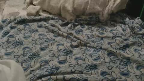 originalcali95 online show from 02-02-26, 03:27