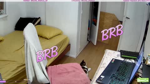 Osito Blanco online show from 01-30-25, 05:19