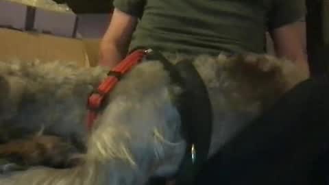 Snapshot of ossignol_xxx chatting on 01-16-25, 06:14 rossignol online show from 01-16-25, 06:14