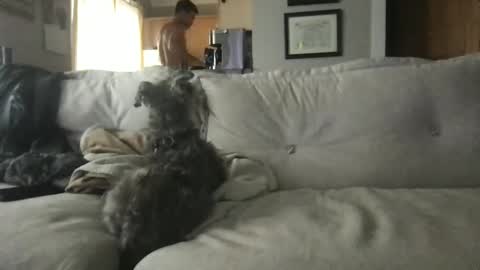 Snapshot of ossignol_xxx chatting on 09-13-25, 04:29 rossignol online show from 09-13-25, 04:29