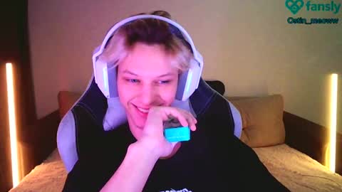 Snapshot of ostin_meoww chatting on 02-15-25, 02:00 Ostin online show from 02-15-25, 02:00